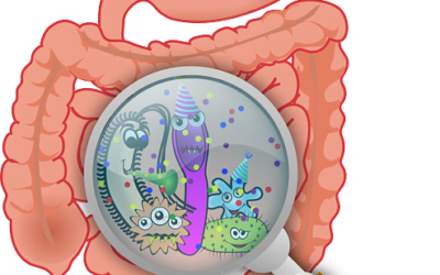 Tips Agar Pencernaan Sehat