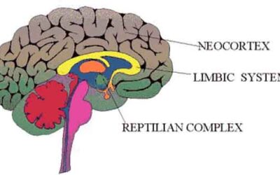 Mengatasi Black Magic