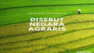 Kesalahan Pengeloaan